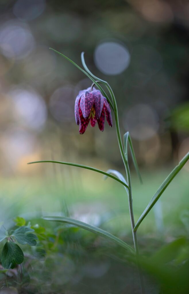 タニタの口臭チェッカーの評判はどうなのか？