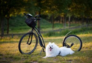 ブレスケアの効果がない場合、考えられる理由は？