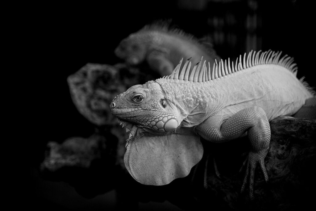 口臭が酸っぱいと感じる時の効果的な対策は？