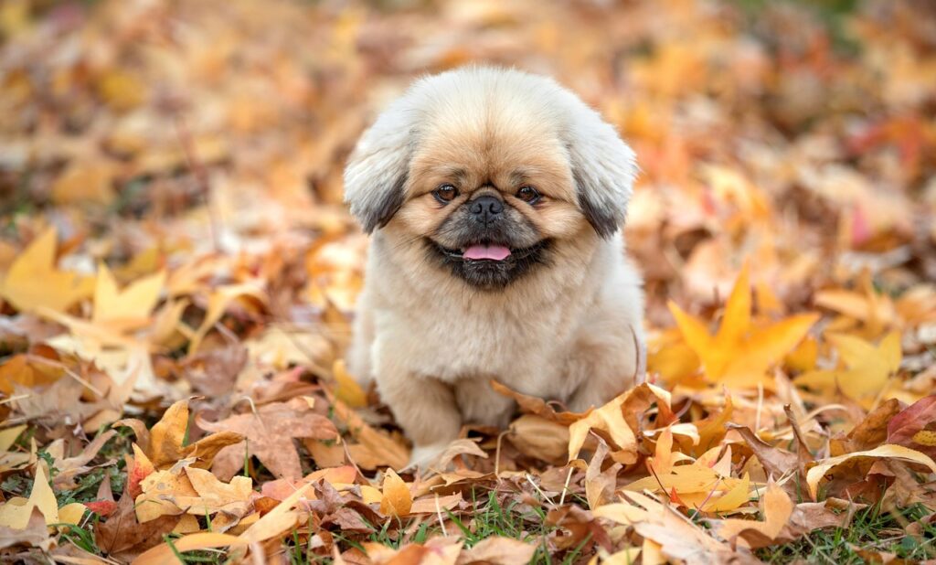 口臭の治療にかかる期間の目安はどれくらい？