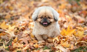 口臭対策に効果的なマウスウォッシュの口コミは？