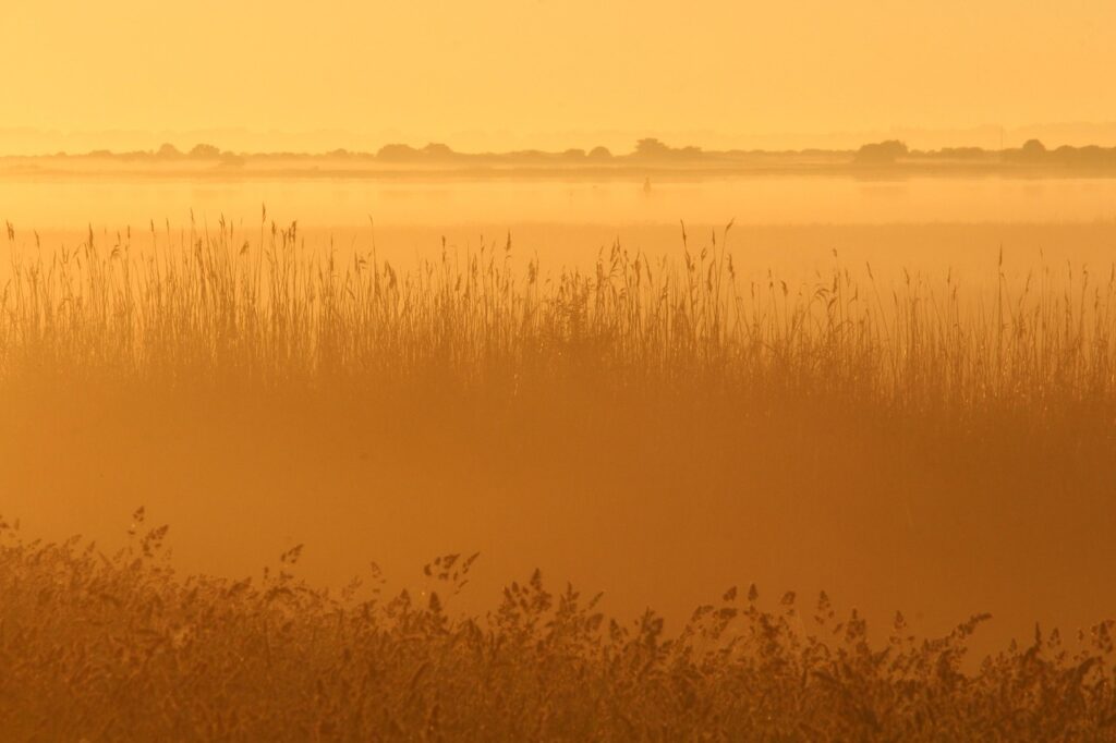 朝の口臭をなくす方法にはどんな対策がある？