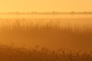 朝の口臭をなくす方法にはどんな対策がある？