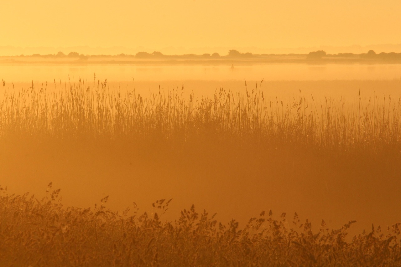 朝の口臭をなくす方法にはどんな対策がある？