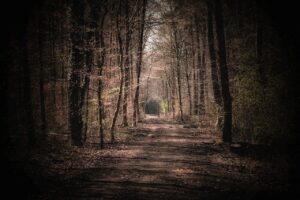 逆流っぽい口臭の夜の対策は何かありますか？