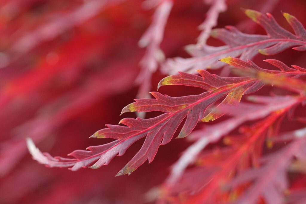 ホテルお泊まり時のドライマウスと口臭予防のルーティンは？